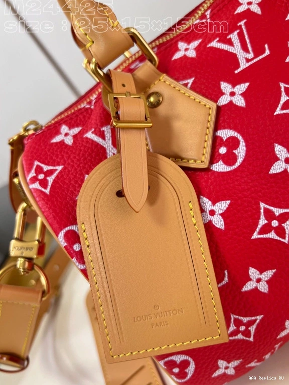 Aaa replica bags SPEEDY Vuitton Louis 25 0729